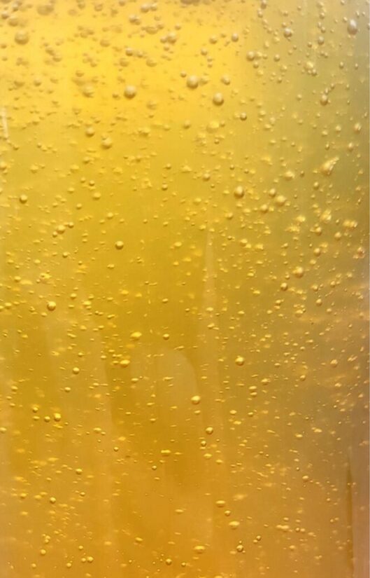 Saldēta BIO cidoniju sula, 20l kannā LV-BIO-02