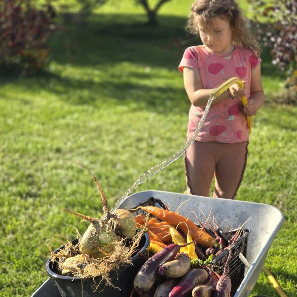 Mazgājam savus BIO dārzeņus pirms pārstrādes
